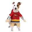 MEDIUM - SUPERHERO - Pet Halloween Costume