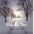 Winter/Reflections