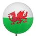 Welsh Flag Antenna Ball Topper