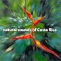 Natural Sounds of Costa Rica