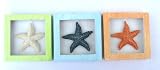 Set /3 Shadow Boxes with Starfish 3 Colored Boxes