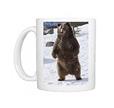 Photo Mugs of Brown bear (Ursus arctos) from coastal Alaska stands in snow, Grizzly Encounter from Robert Harding