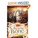 Charlie Bone and the Castle of Mirrors (Children of the Red King)