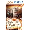 Charlie Bone and the Castle of Mirrors