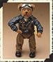 Airman McBruin