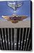 1939 Lagonda LG6 Hood Ornament Canvas Print / Canvas Art - Artist Jill Reger