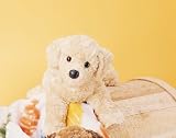Golden Retriever Plush Dog (Charles from Douglas Company)