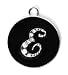 Fleur De Lis Monogram Necklace - E