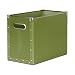 Cargo Naturals Desktop File, Sage, 9-1/2 by 7 by 12-1/2-Inch