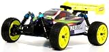 Nitro Gas RC BUGGY 4WD Truck 1/16 Car New METEOR