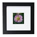 Wood Frame - Black (5x5)