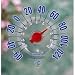 Window-Cling Thermometer (Clear) (7.25" Diameter) Reviews