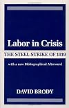 Labor in Crisis: THE STEEL STRIKE OF 1919 (Critical Periods of History.)