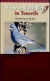 Search : Where to Watch Birds in Tenerife