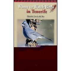 Where to Watch Birds in Tenerife