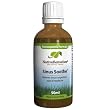 Native Remedies Sinus Soothe (50ml)