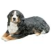 Sandicast Original Size Bernese Mountain Dog Figurine