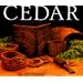 Cedar: Tree of Life to the Northwest Coast Indians