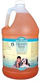 SHAMPOO BIOGROOM GROOM&FRESH GALLON