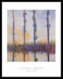 Claude Monet Poplarsvery Grape Wine Art White Wood-Mounted Poster Print - 22 X 28