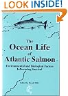 The Ocean Life of Atlantic Salmon: Environmental and Biological Factors Influencing Survival
