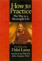 How to Practice : The Way to a Meaningful Life