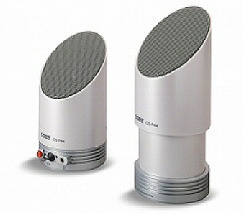 Childrens Toyshop  Electronics : LEON CSP-44 Personal Amplified Stereo Speakers - Silver