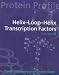 Helix-Loop-Helix Transcription Factors (Protein Profile)
