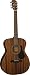 Alvarez RF300 Regent Series Folk Acoustic Guitar