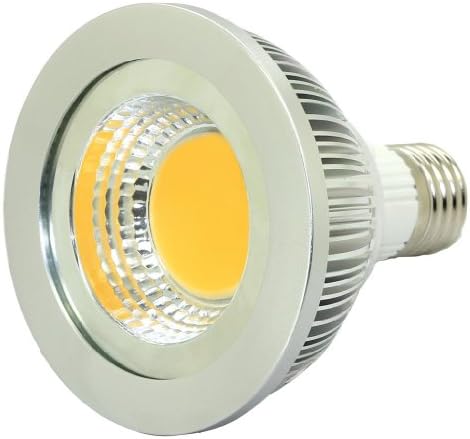 Shine Glory Lighting PAR30 10W E26 COB LED Chip LED Spotlight Lamp Non-dimmable Warm White