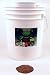 vitamin b6 - 35 Lbs - 3 Part Salad Sprout Mix - Certified Organic Sprouting Seed: Radish, Broccoli, Alfalfa 35 Lb. Nitrogen Dry Packed Re-sealable Bucket for Long Shelf Life - High Germination Sprouting Seeds for Planting, Gardens, Cooking, Food Storage or Delicious Salad Sprouts: Sprouts Are High in Vitamins A, B-1, B-6 and C, Folic and Pantothenic Acids, Niacin, Potassium, Iron and Phosphorous & Chlorophyll. Growing Sprouts Is Healthy & Fun.
