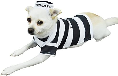 Otis and Claude Fetching Fashion Prison Pooch Costume SMALL
