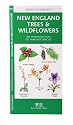 New England Trees & Wildflowers: An Introduction to Familiar Species (Regional Nature Guides)
