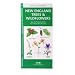 New England Trees & Wildflowers: An Introduction to Familiar Species (Regional Nature Guides)