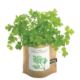 Organic Parsley Garden-in-a-bag