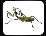 Decorated Mouse Pad with green, insect, crawling, antennae, mantis, praying