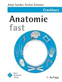 Anatomie fast - Der Crashkurs - Antje Sander, Stefan Schwarz