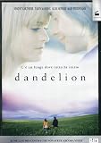 Dandelion - IMPORT