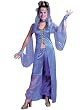 Dreamy Genie Costume Plus Size Theatre Costumes