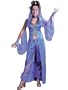 Dreamy Genie Costume Plus Size Theatre Costumes