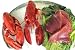 2 Lobsters and 2 lbs.Tuna