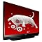 Mitsubishi 60'' 1080p Home Theater Big Screen HDTV - Black (WD60737)&nbsp;