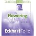 The Flowering of Human Consciousness (The Power of Teaching Now Series)