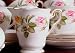 Royal Stafford Tea Rose Coffee pot cover only