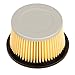 HIFROM Air Filter Replace for Tecumseh 30727 30604 Fit H22 H25 H30 H35 H40 H50 H60 John Deer AM30900 Cub Cadet 488619 488619-R1 Lesco 050113