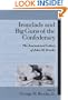 Ironclads and Big Guns of the Confederacy : The Journal and Letters of John M. Brooke (Studies in Maritime History)