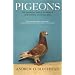 Fiction Nonfiction