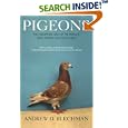 Pigeons: The Fascinating Saga of the World's Most Revered and Reviled Bird by Andrew D. Blechman