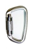 C.A.M.P. USA Steel D Twistlock