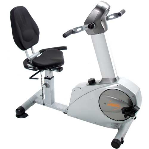 Elite Total Body Recumbent Bike